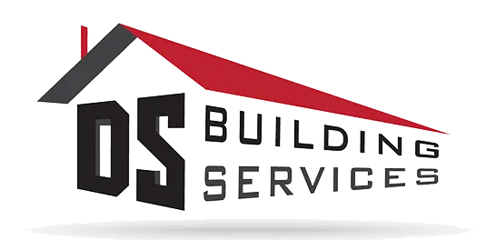DS logo